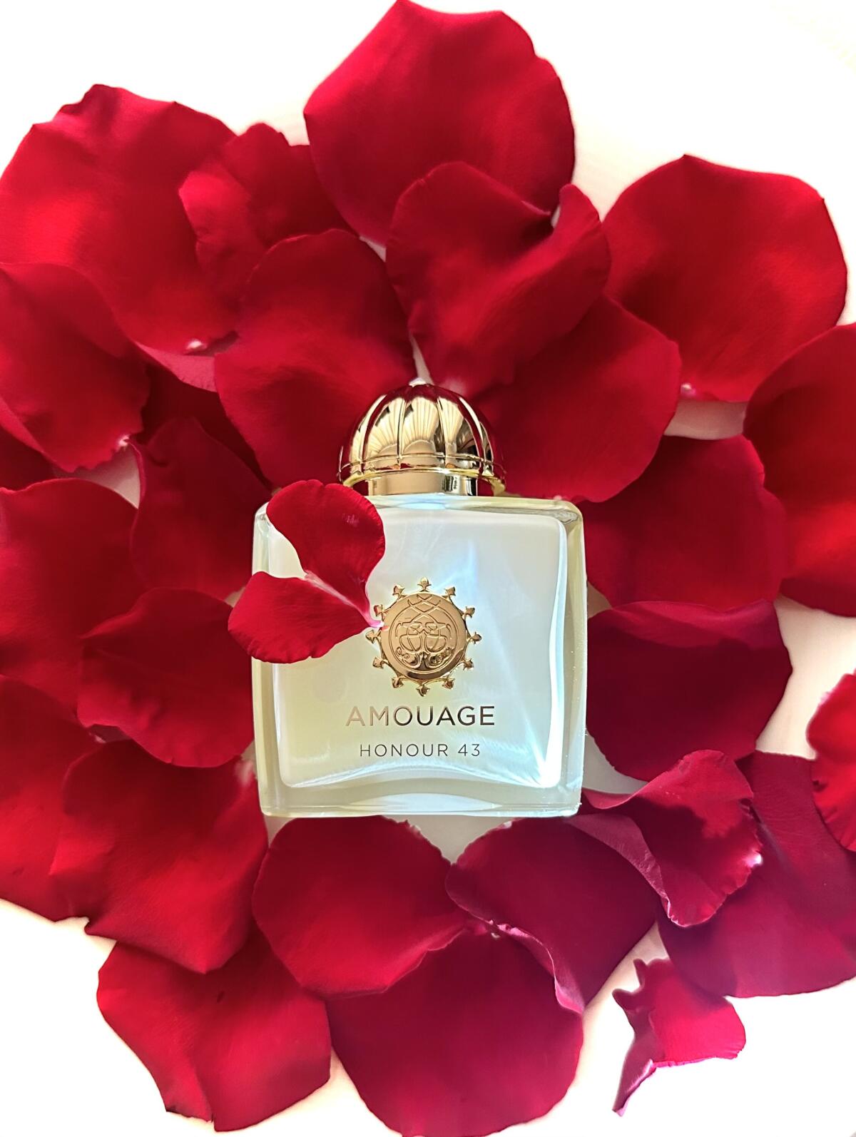 غير متوفر - يرجى عدم الطلب - ل - مراجعة Perfume Fragrance Families وسعره